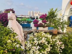 -马大胡子清真西北菜