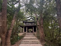 -蒋氏故居