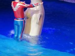 -大连圣亚海洋世界