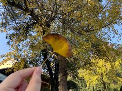 -南华寺素食馆(南华禅寺店)