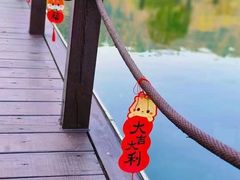 -龙坞茶村