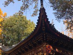 -汇龙潭