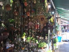 -循礼门鲜花花市(武汉循礼门店)