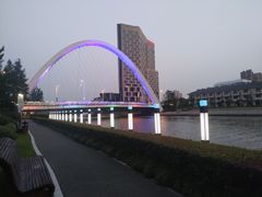-陈家山荷花公园