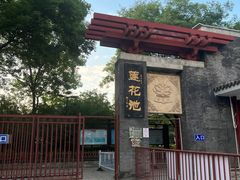 -莲花池公园