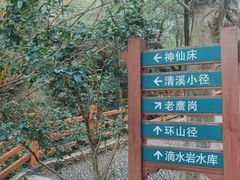 -滴水岩森林公园