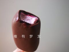 -全家便利店(杭州龙翔桥地铁站店)