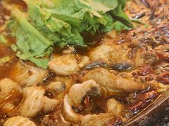 -都江堰石锅鱼
