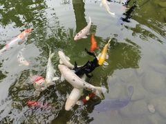 -三里河公园