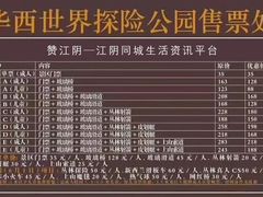 -华西村