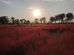 -汉长安城未央宫国家考古遗址公园