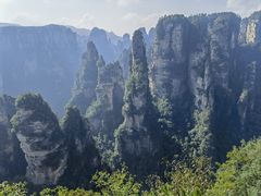 -印象鲵宴·张家界地标美食名片(溪布街店)