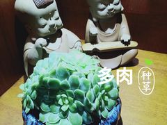 -一叶一世界•素食餐厅(环球中心店)