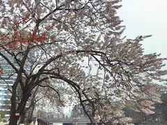 -红星桥(地铁站)