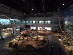 -自贡恐龙博物馆