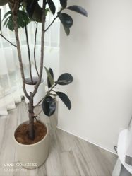 -HEYAN荷妍专业脱毛连锁机构