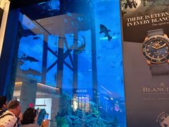 -迪拜水族馆及水下动物园