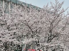 -湖北中医药大学(昙华林校区)