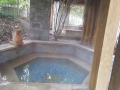 -金凤凰温泉度假村·凤凰汇中餐厅