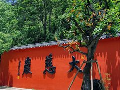 -大慈岩风景区
