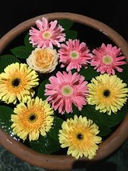 -琦品高端美容SPA私佳美场