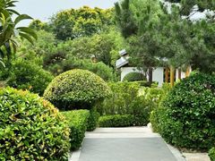 -郑州银基黄帝宫御温泉