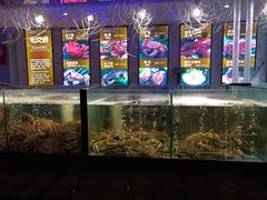 水产区-蟹之国·精品蟹料理(极地店)