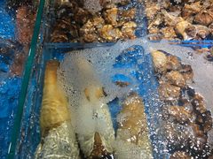 -徐记海鲜(观沙岭|滨江新城店)