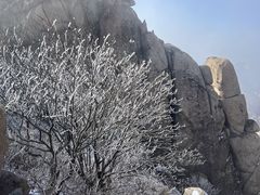 -崂山巨峰游览区