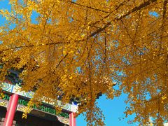 -长安寺