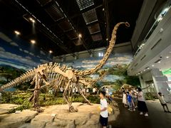-自贡恐龙博物馆
