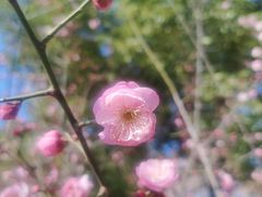-天鹅湖体育公园