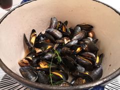 -Oyster Talks 四度蚝法餐厅