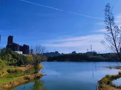 -四里河滨水生态公园