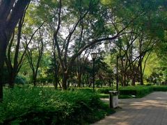 -玲珑塔公园
