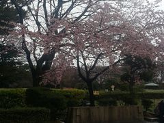 -名古屋城