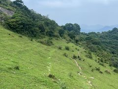 -大姆山草场