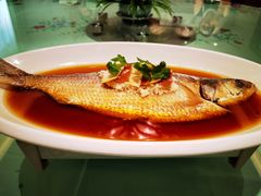 金牌鲥鱼-西湖春天•老字号杭州菜(百汇店)