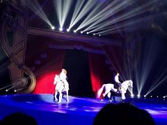 -珠海横琴长隆《卡卡虎奇遇记》