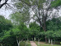 -千佛山风景名胜区