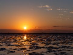 -上海棕榈滩海景酒店