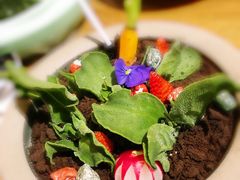 -荟廷·晶萃(陆家嘴尚悦湾店)