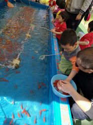 -萌宠亲子动物乐园(槐房万达店)