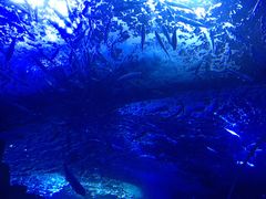 -多彩贵州城极地海洋世界