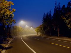 -吴淞炮台湾湿地森林公园烧烤区