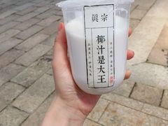招牌大王鲜榨椰奶-眞宗·椰汁是大王(小娄巷店)