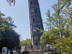 -上海佘山国家森林公园天马山园