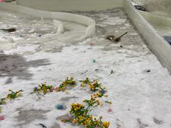 -宁波冰雪大世界(北仑区)