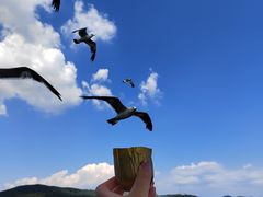 -大连老虎滩海洋公园