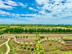 -嘉北郊野公园